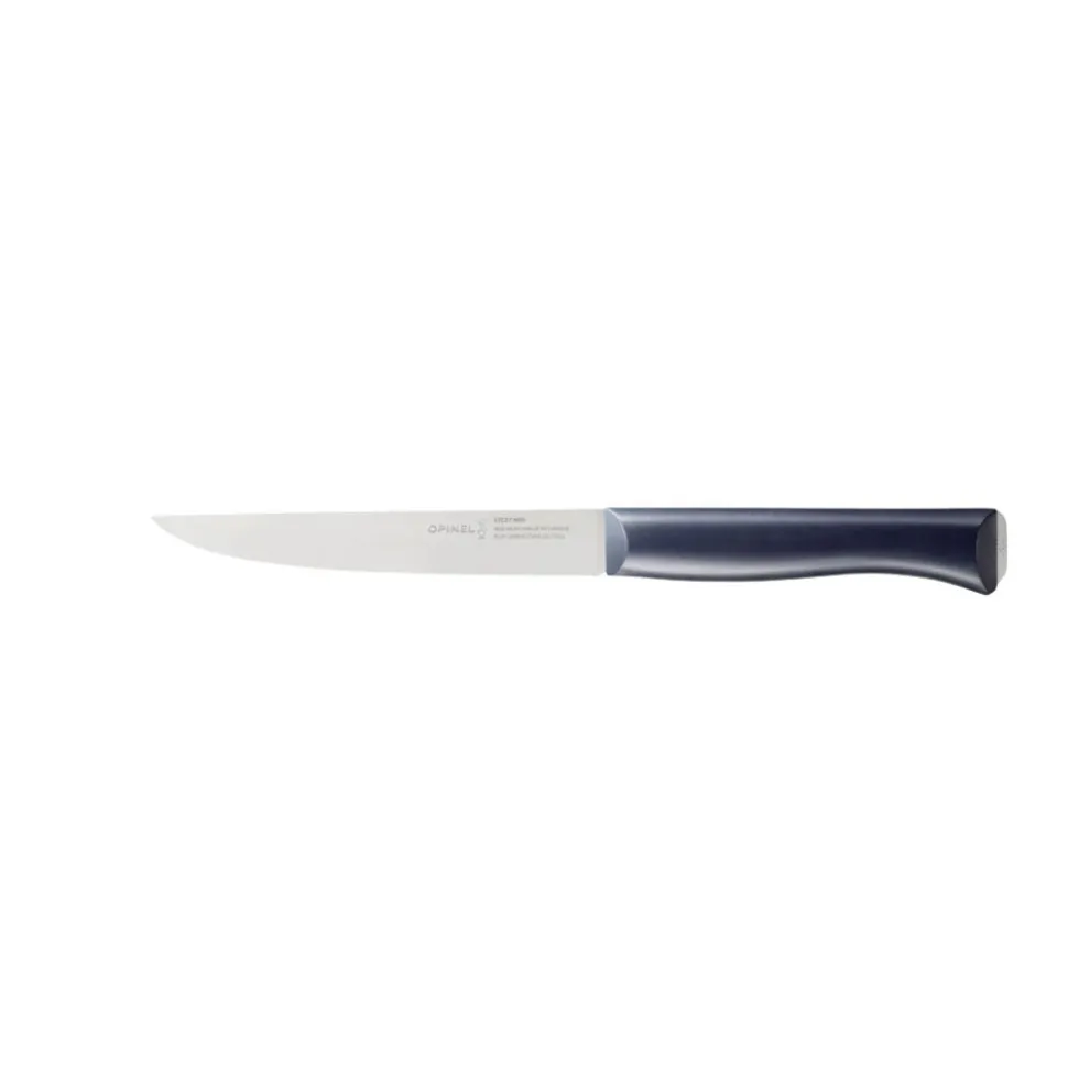 Bloc 5 Couteaux Intempora - OPINEL