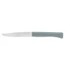 Coffret 4 couteaux de table Bon Appétit + Panachés GLAM - OPINEL