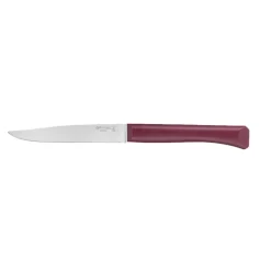 Coffret 4 couteaux de table Bon Appétit + Panachés GLAM - OPINEL