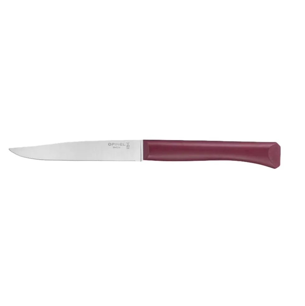 Coffret 4 couteaux de table Bon Appétit + Panachés GLAM - OPINEL