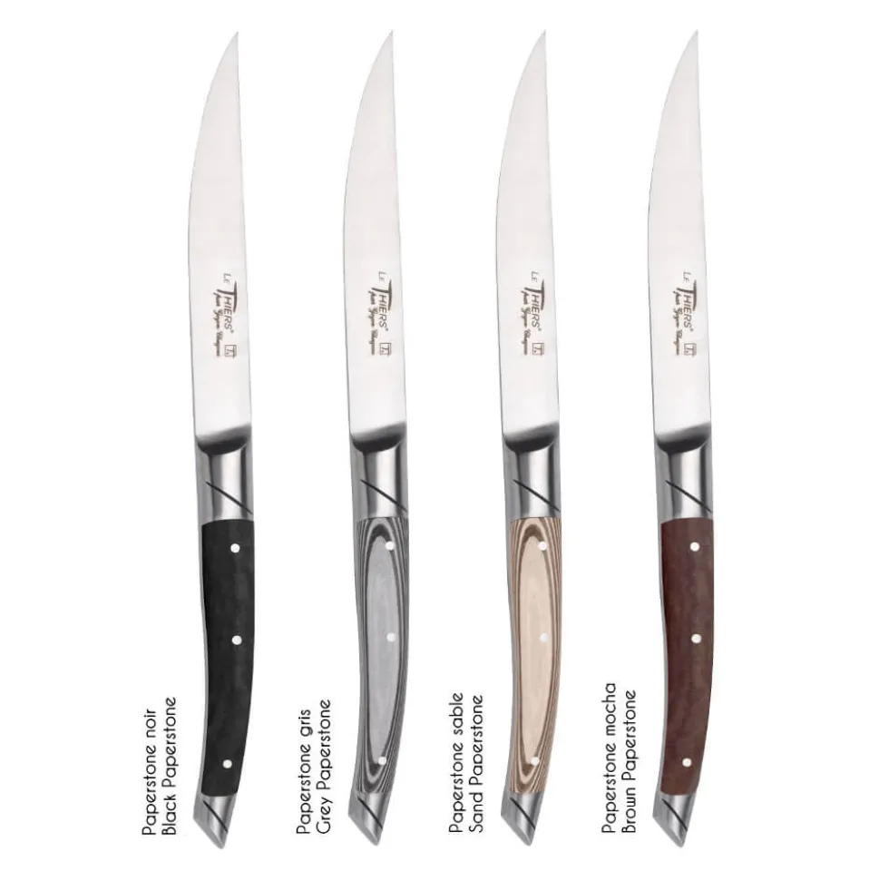 Coffret 6 Couteaux Le Thiers Avantage avec Manche Paperstone Noir - GOYON-CHAZEAU