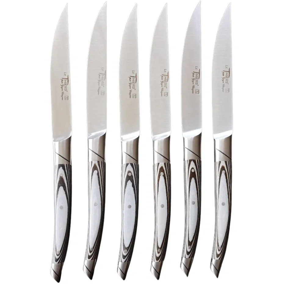 Coffret 6 Couteaux Le Thiers Avantage avec Manche Paperstone Gris - GOYON-CHAZEAU