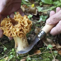 Couteau n°8 Inox Champignon - OPINEL