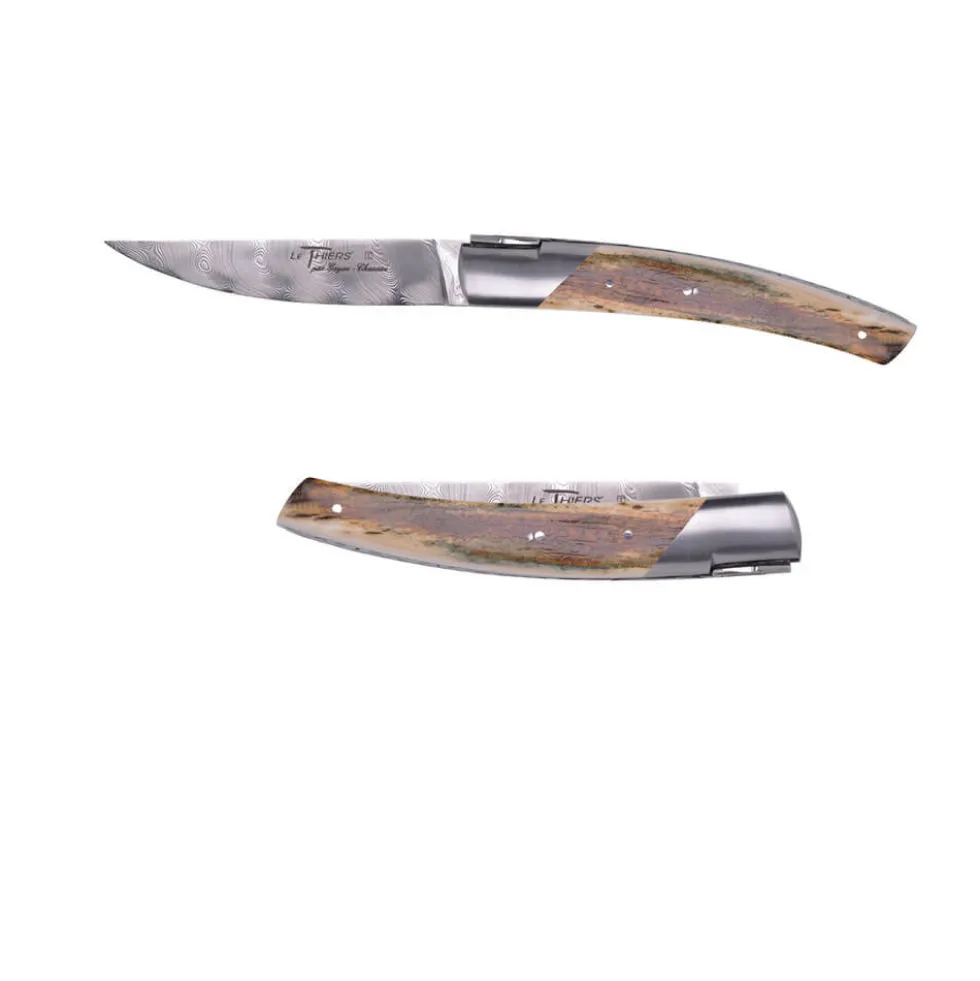 Couteau pliant Le Thiers Damas Croûte Mammouth avec Etui en cuir OFFERT - GOYON-CHAZEAU