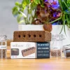 Lingot sans graines - VERITABLE