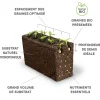 Lingot Shiso pourpre BIO - VERITABLE