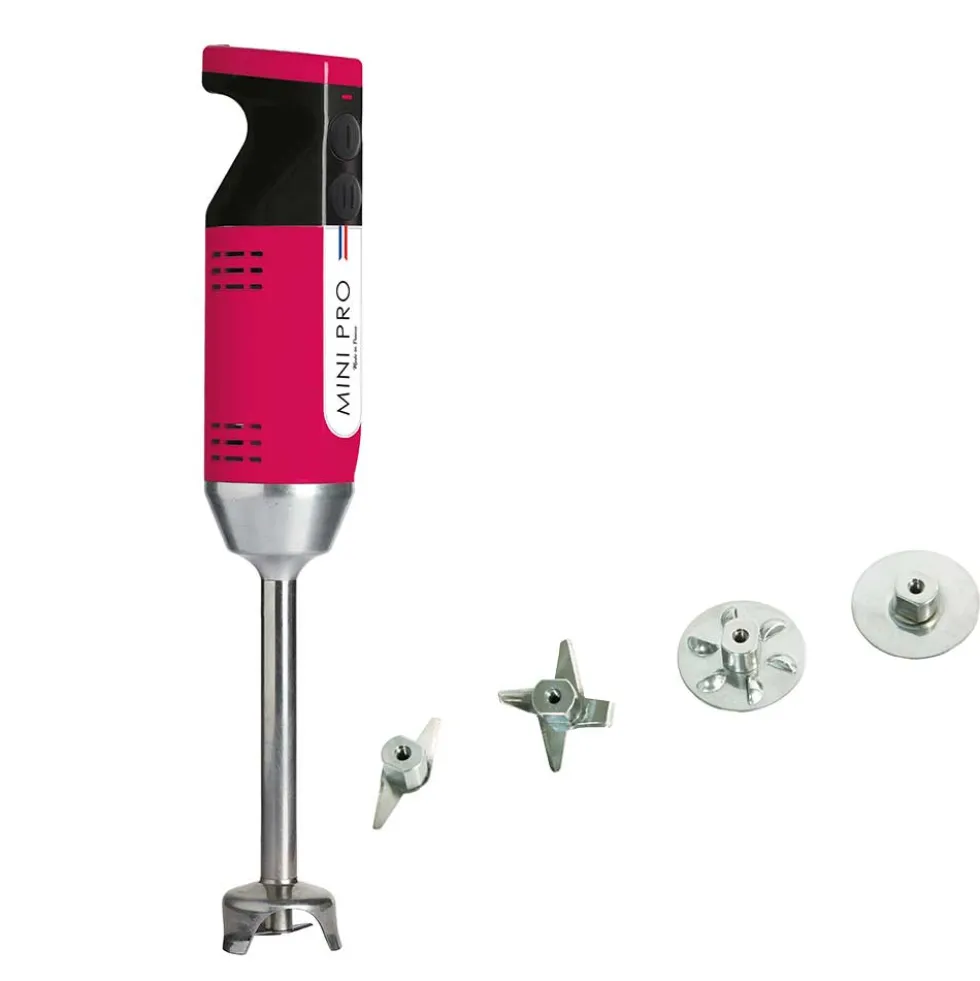 Mixeur plongeant polyvalent mini-pro Framboise Noir 4 couteaux - DYNAMIC