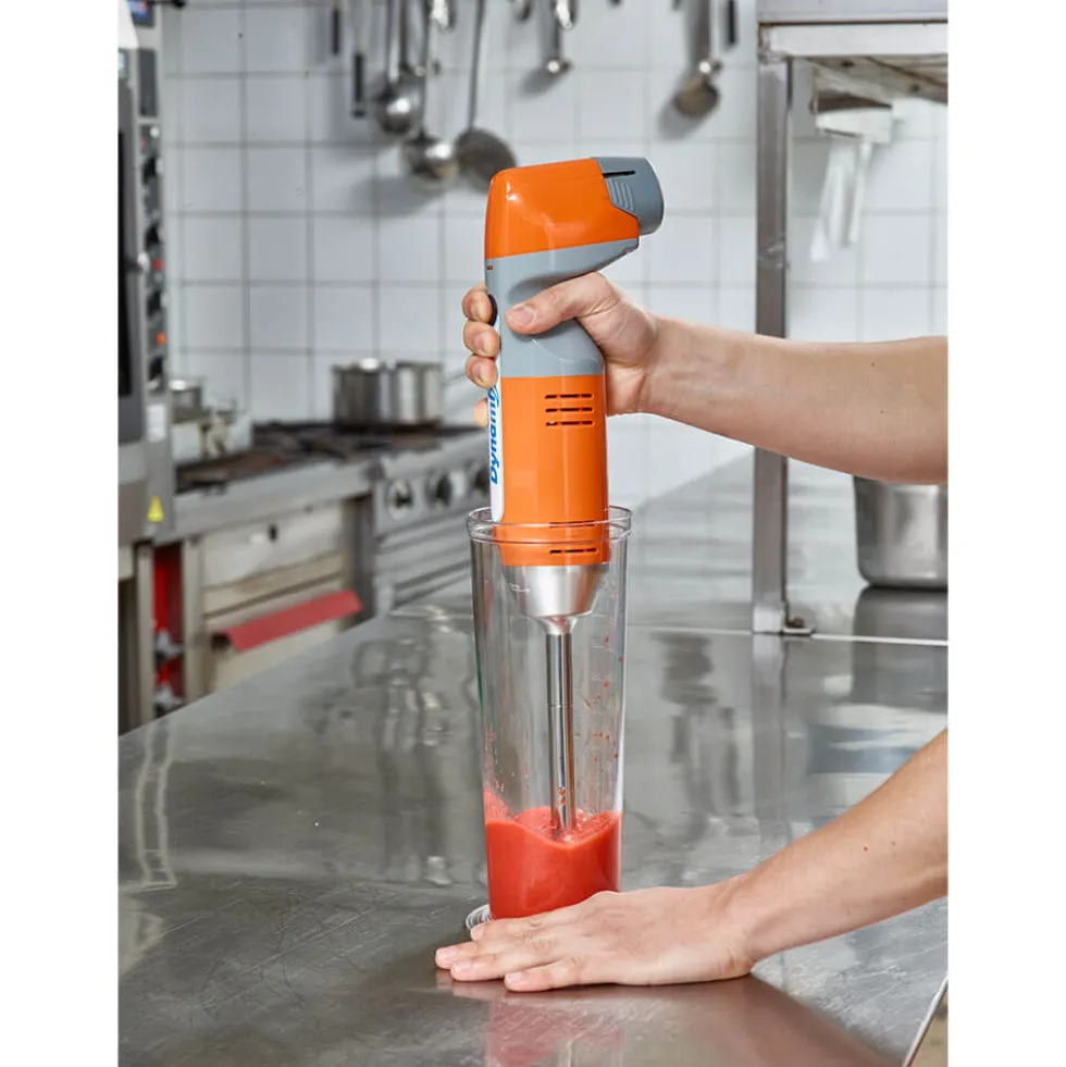 Mixeur plongeant professionnel DYNAMIX NOMAD 190 - DYNAMIC