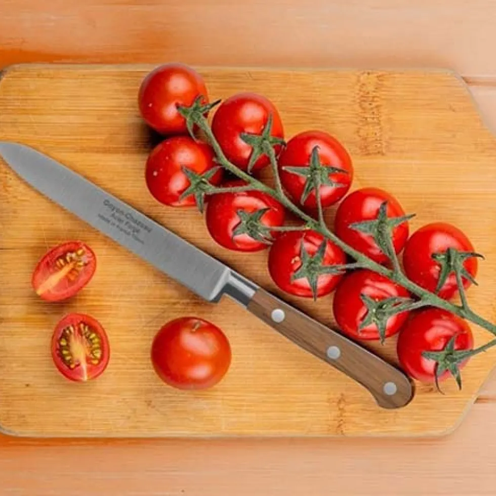 Set de 4 couteaux de cuisine Tradichef sur support magnétique - GOYON-CHAZEAU