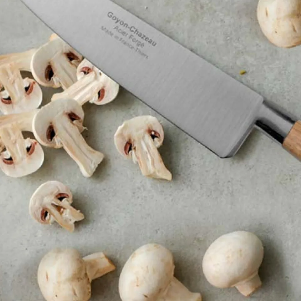 Set de 4 couteaux de cuisine Tradichef sur support magnétique - GOYON-CHAZEAU
