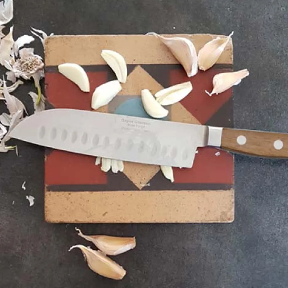 Set de 4 couteaux de cuisine Tradichef sur support magnétique - GOYON-CHAZEAU
